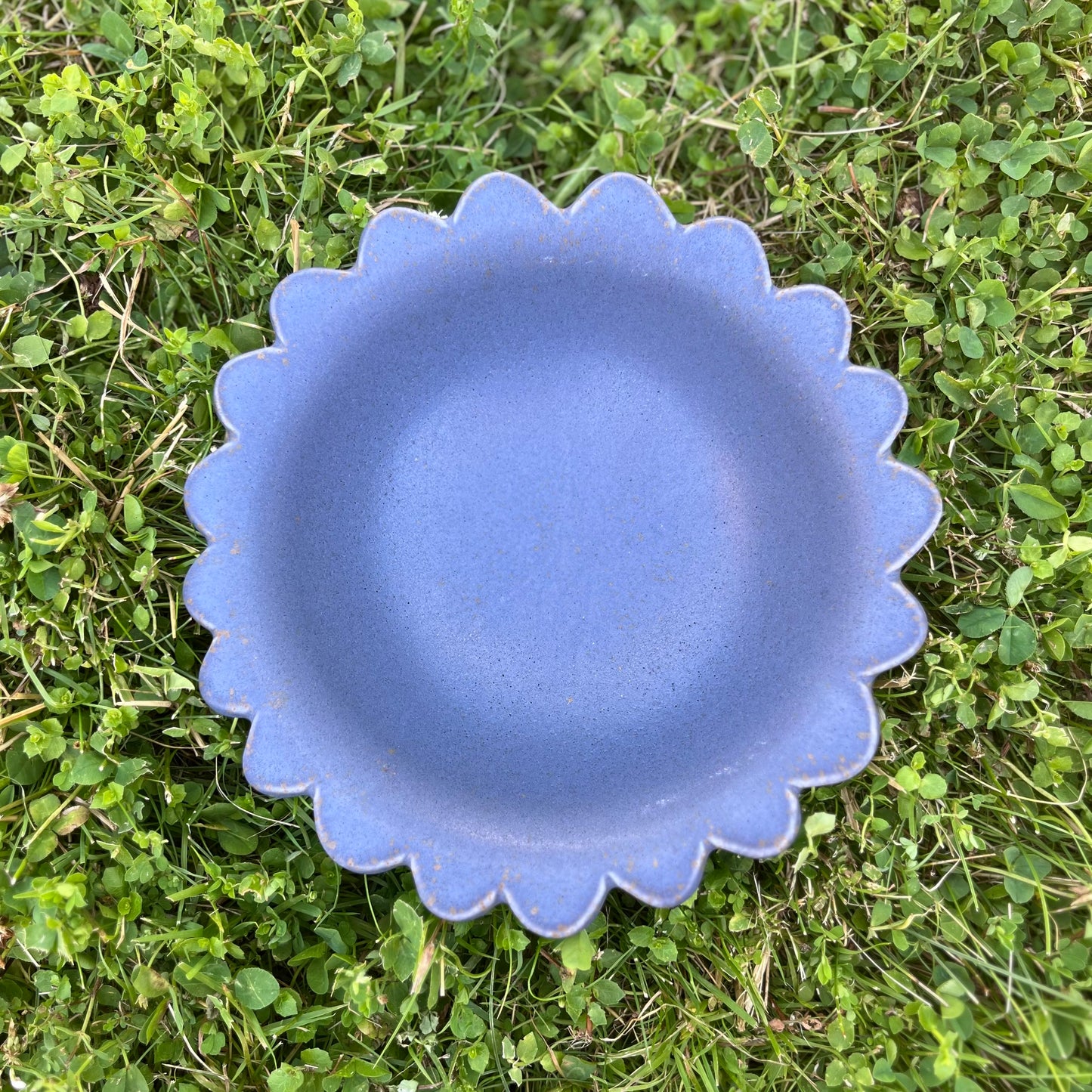 Big Snack Bowl