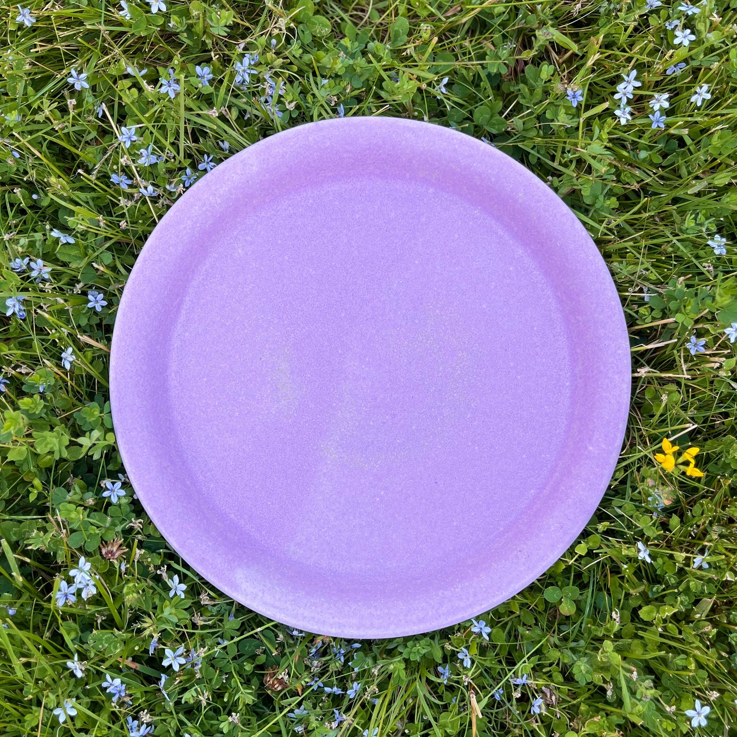 Dinner Plate *Pre-Order*