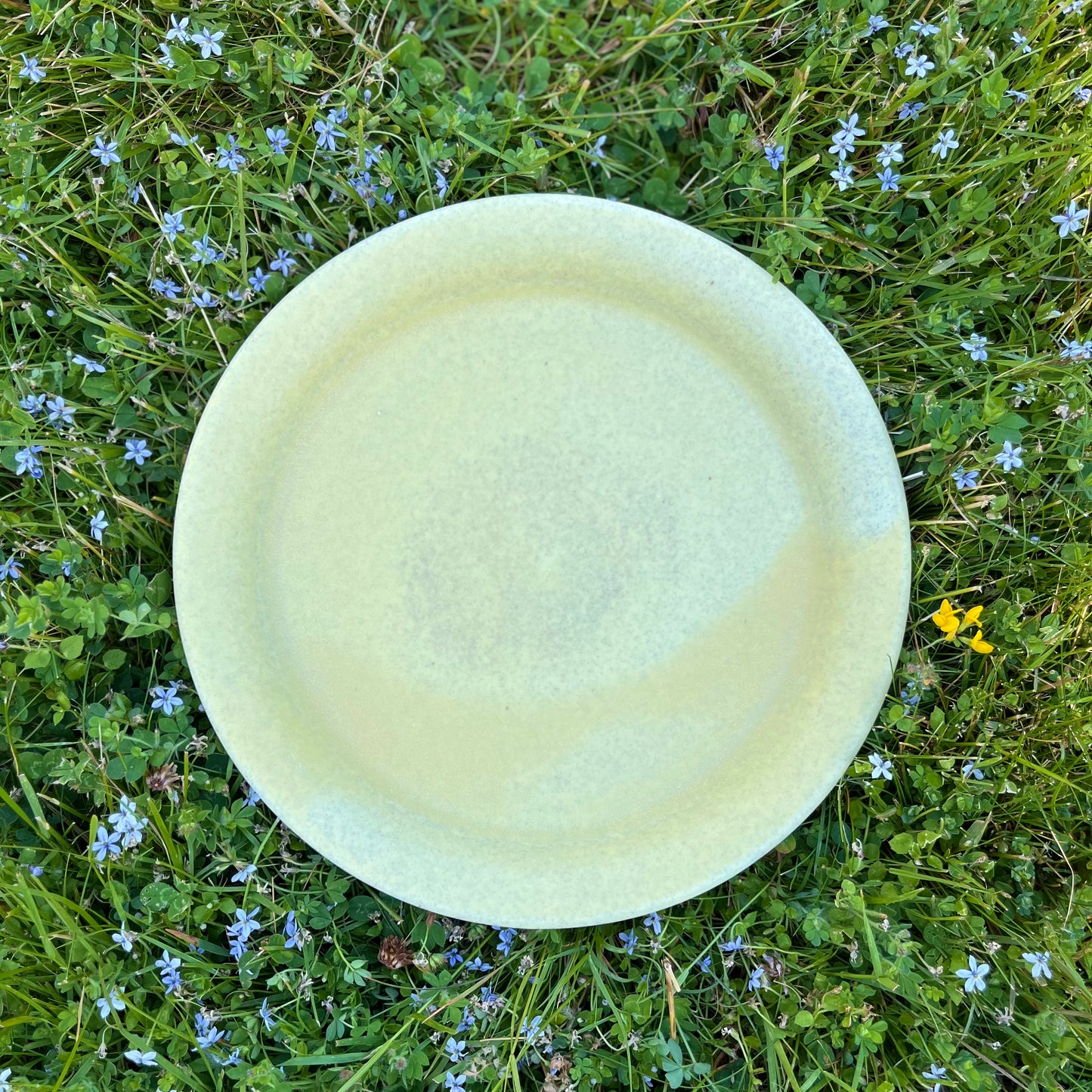Dinner Plate *Pre-Order*