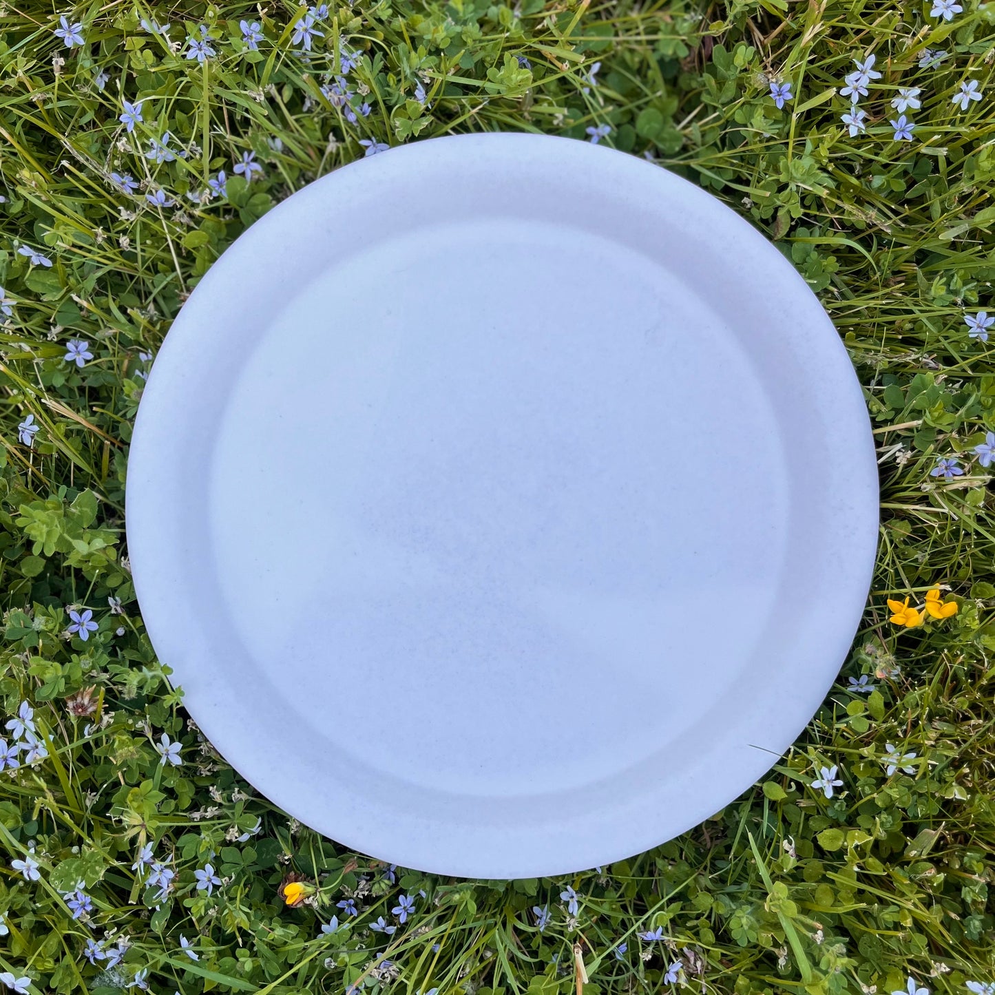 Dinner Plate *Pre-Order*