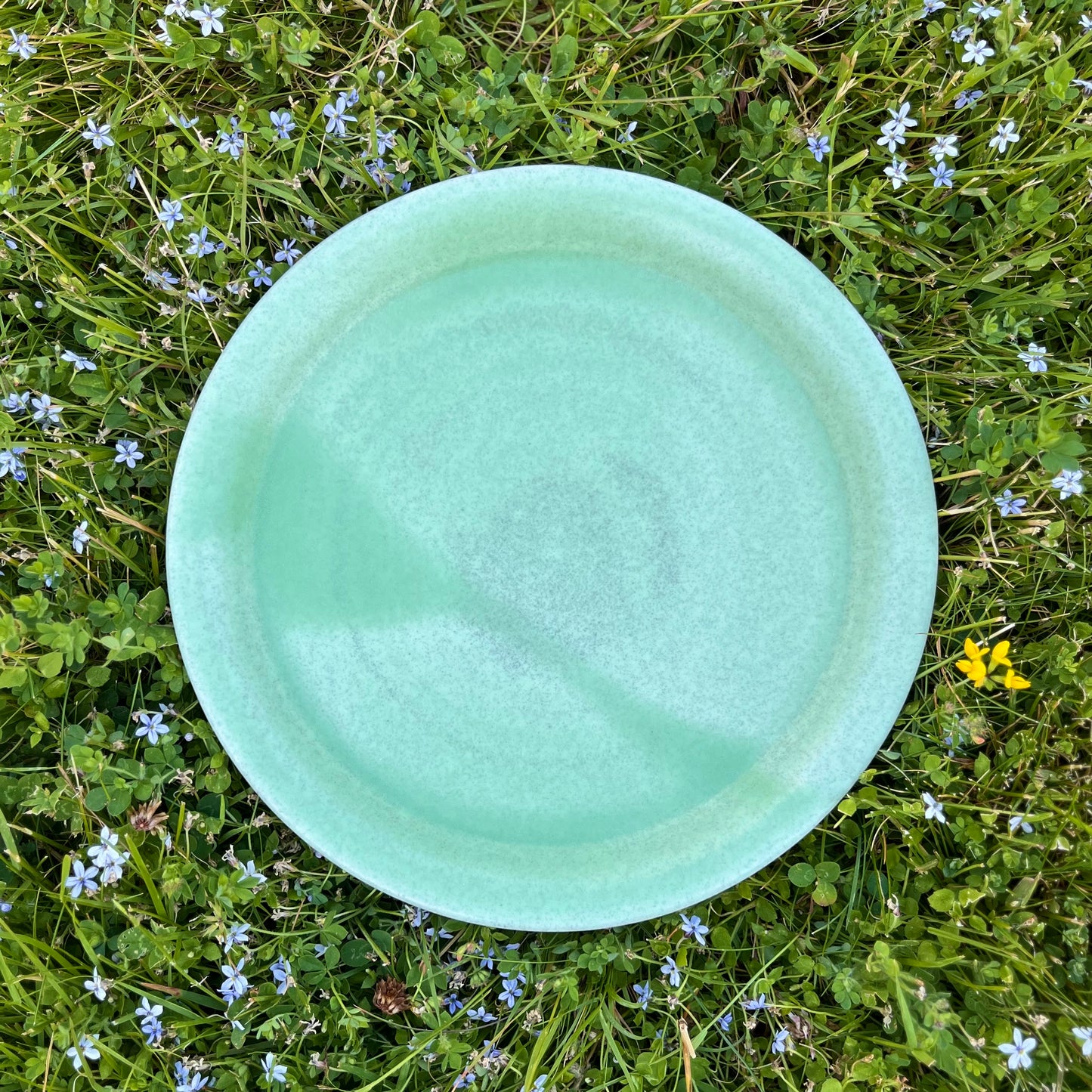 Dinner Plate *Pre-Order*