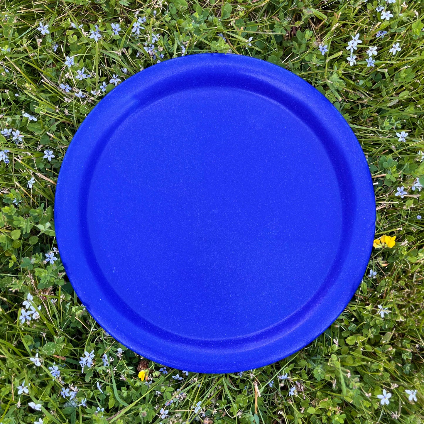 Dinner Plate *Pre-Order*