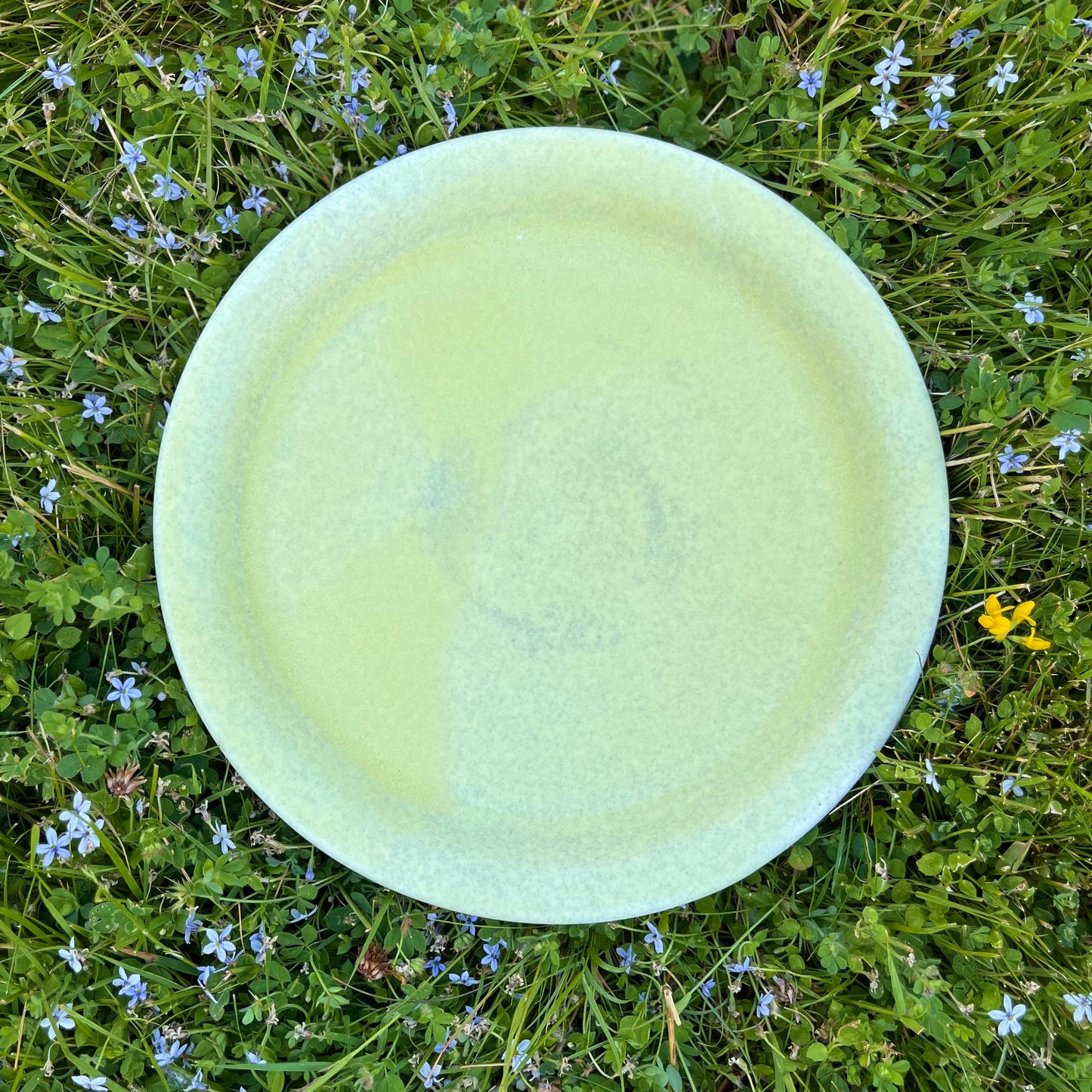 Dinner Plate *Pre-Order*