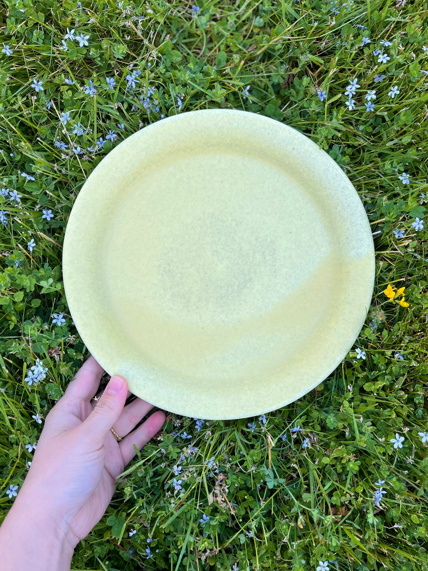 Dinner Plate *Pre-Order*
