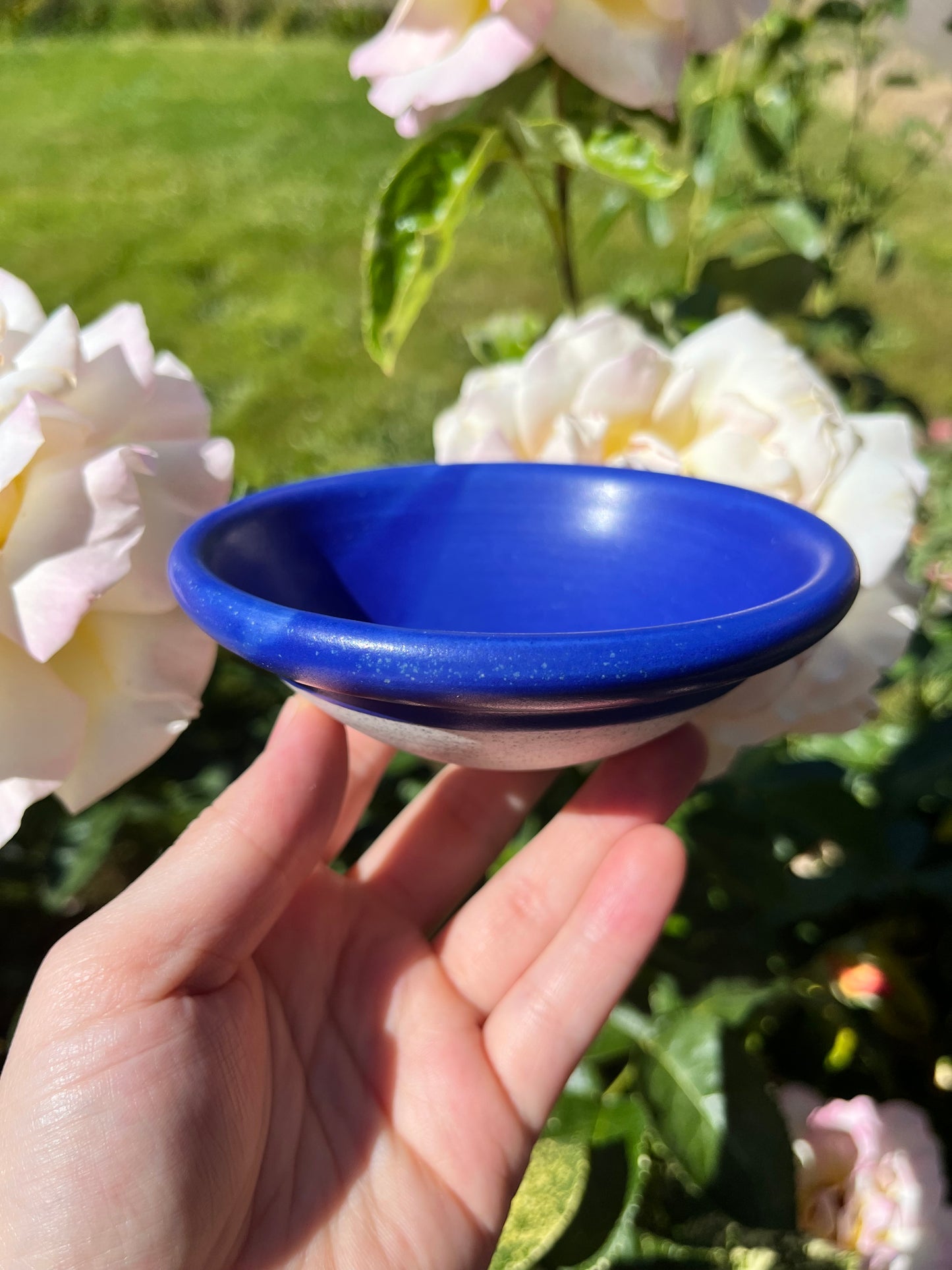 The Original Snack Bowl