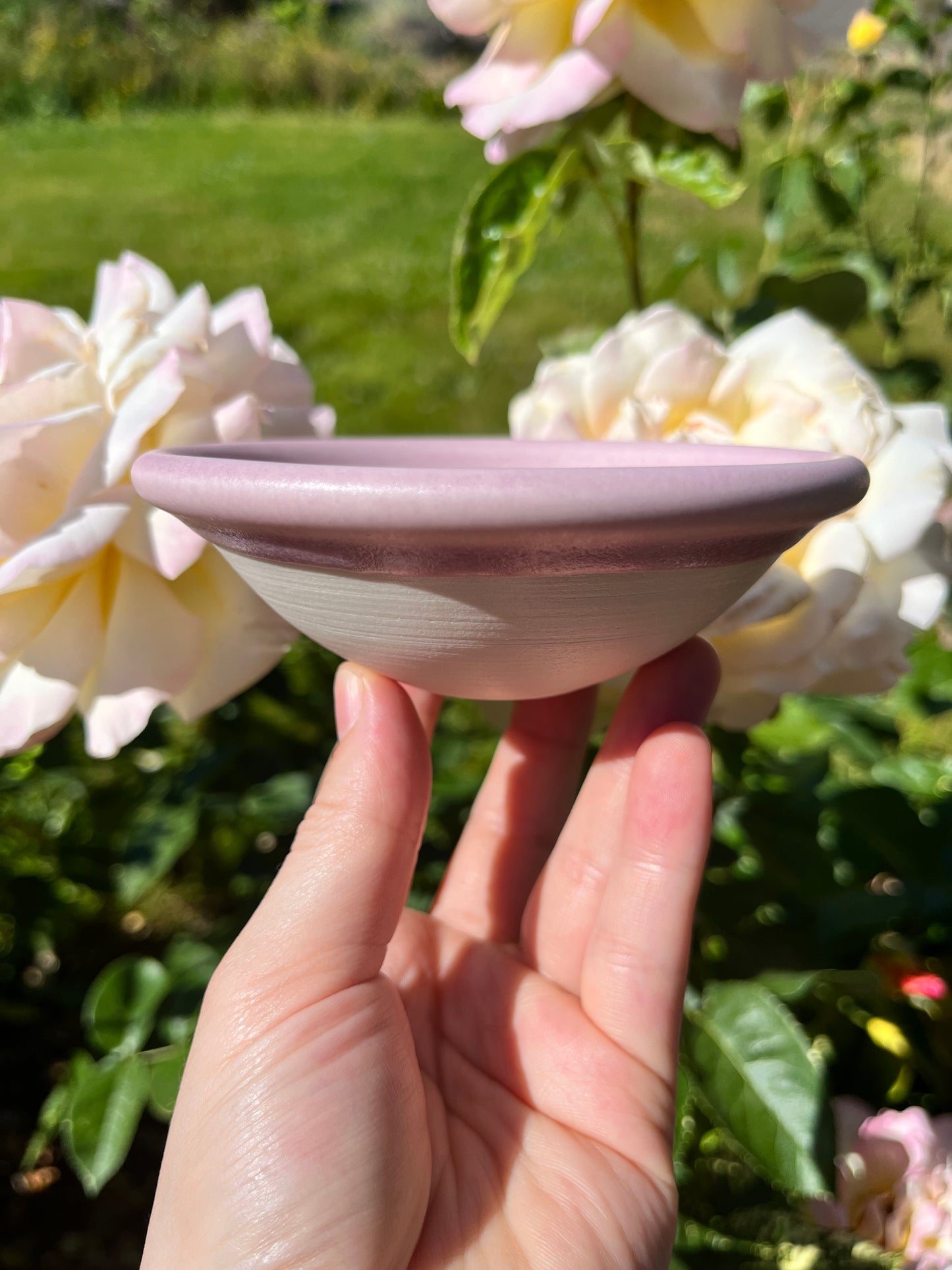 The Original Snack Bowl