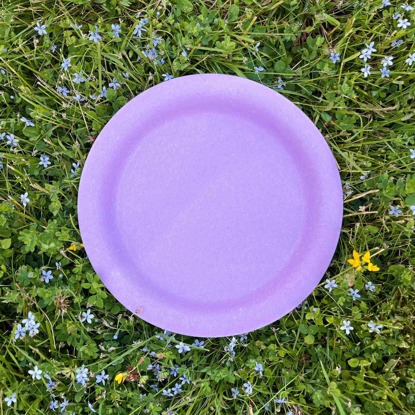 Salad Plate