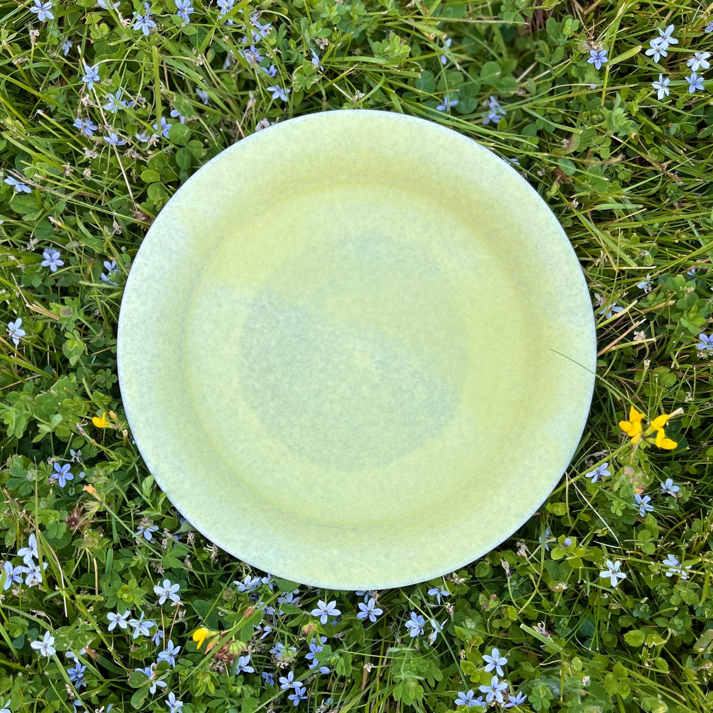 Salad Plate