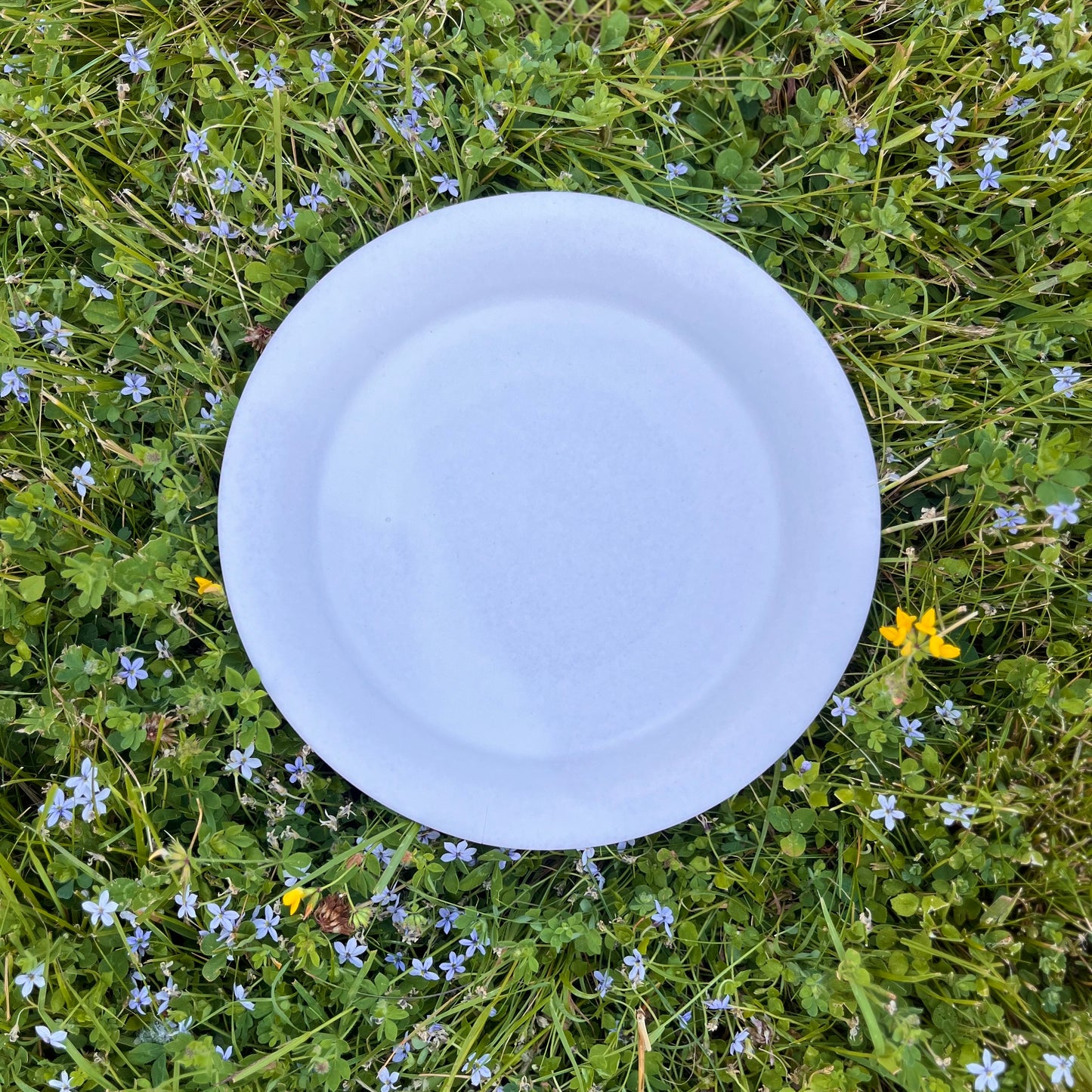 Salad Plate