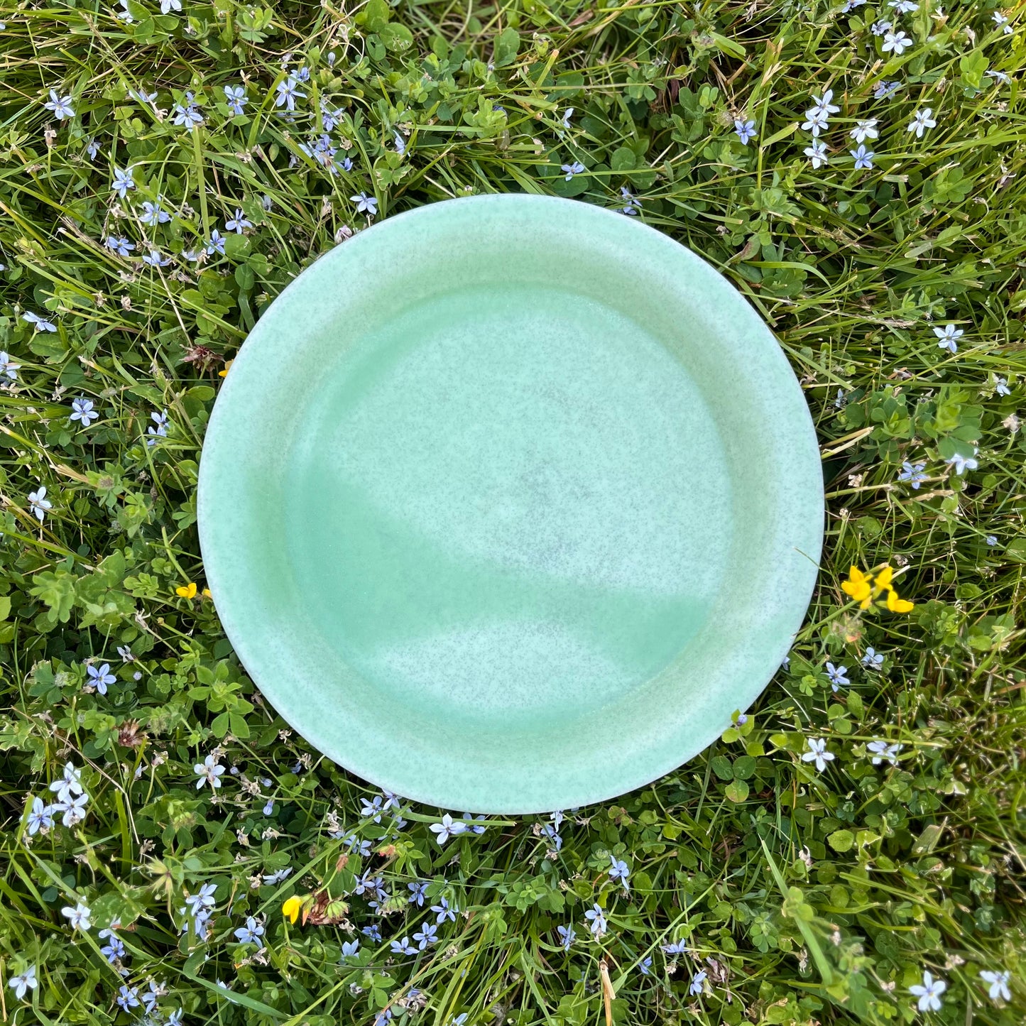 Salad Plate