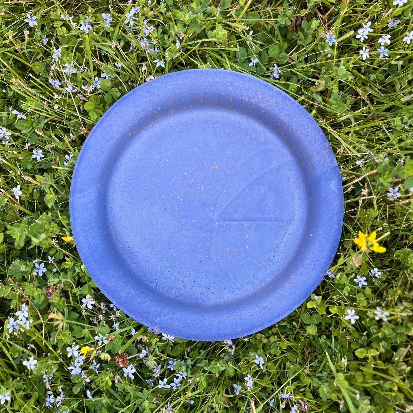 Salad Plate
