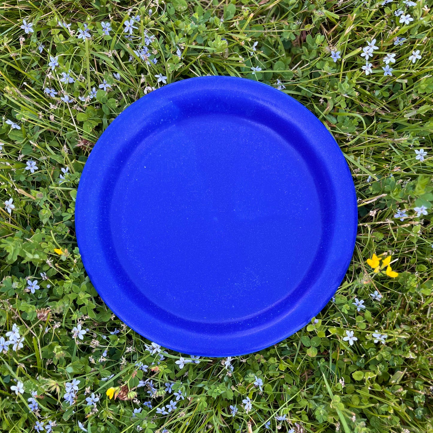 Salad Plate