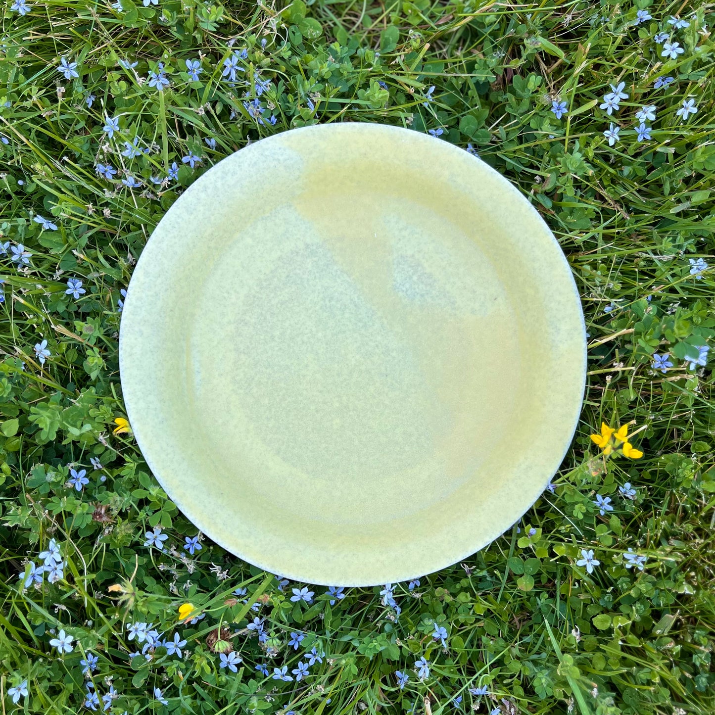 Salad Plate