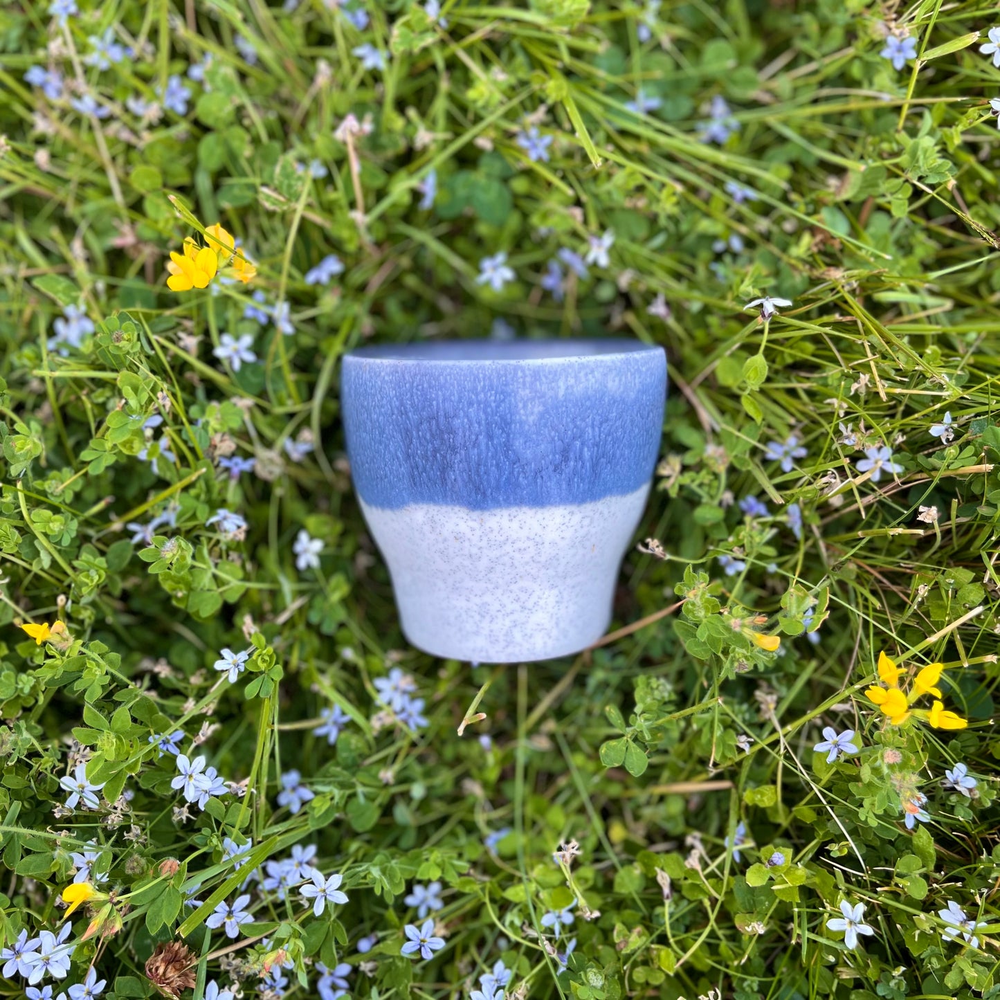 Summer Sipper