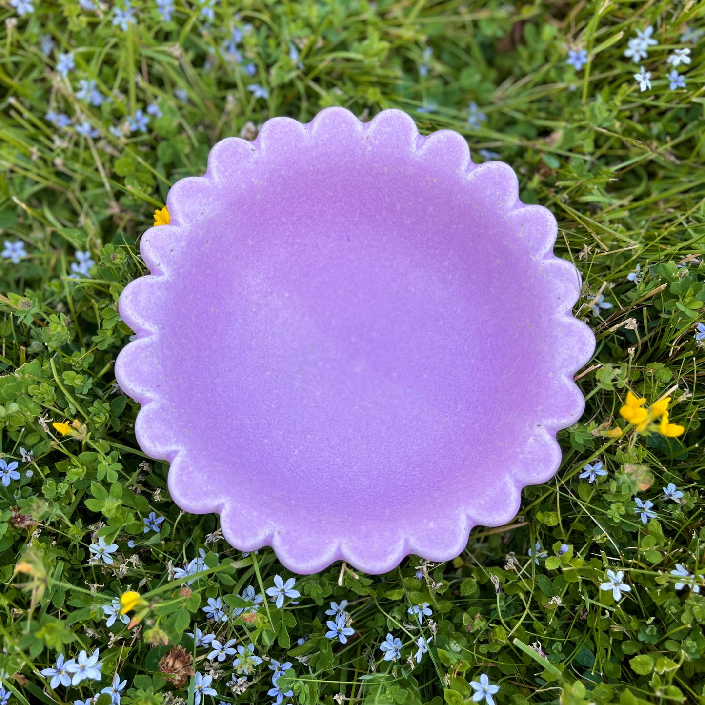 Big Snack Bowl *Pre-Order*