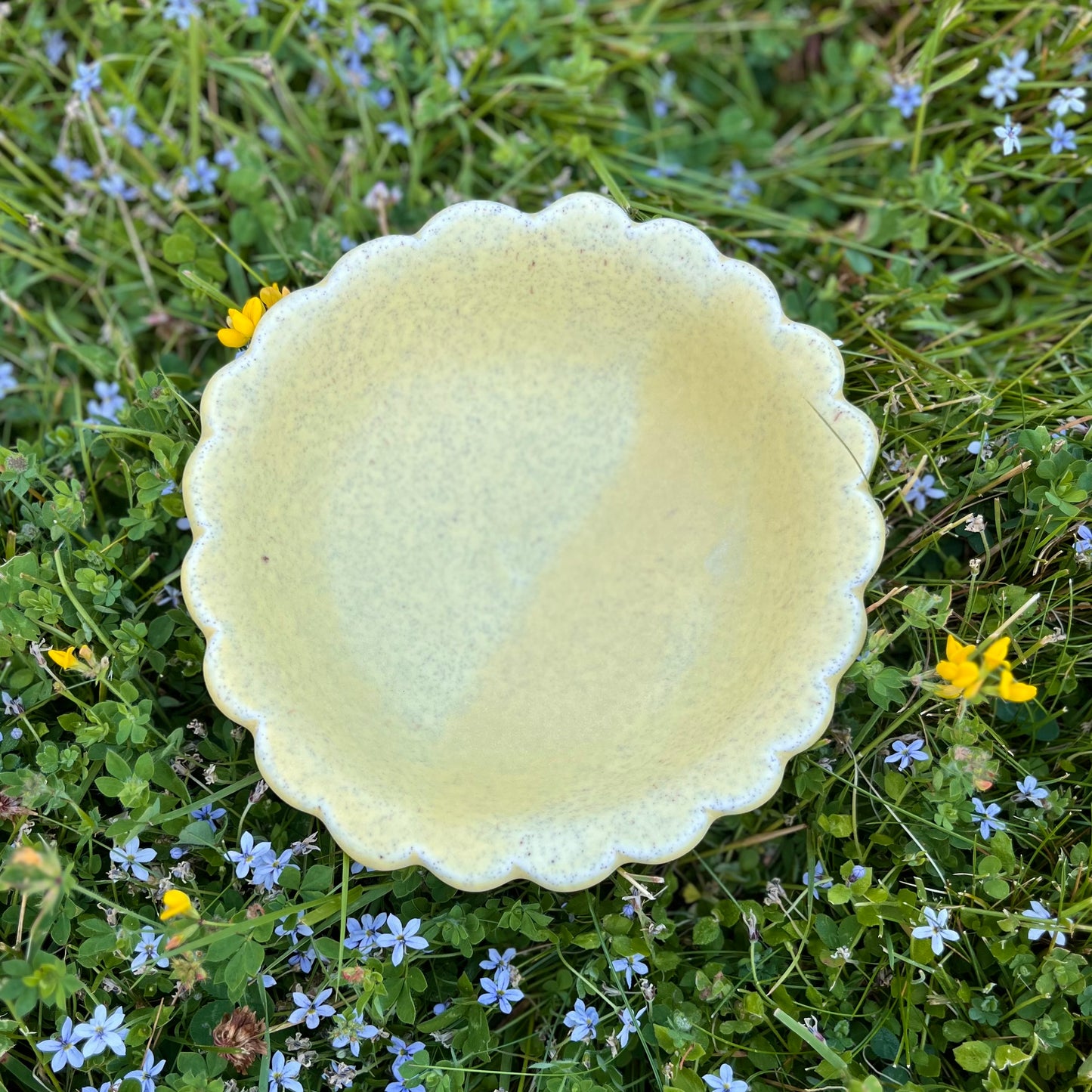 Big Snack Bowl *Pre-Order*