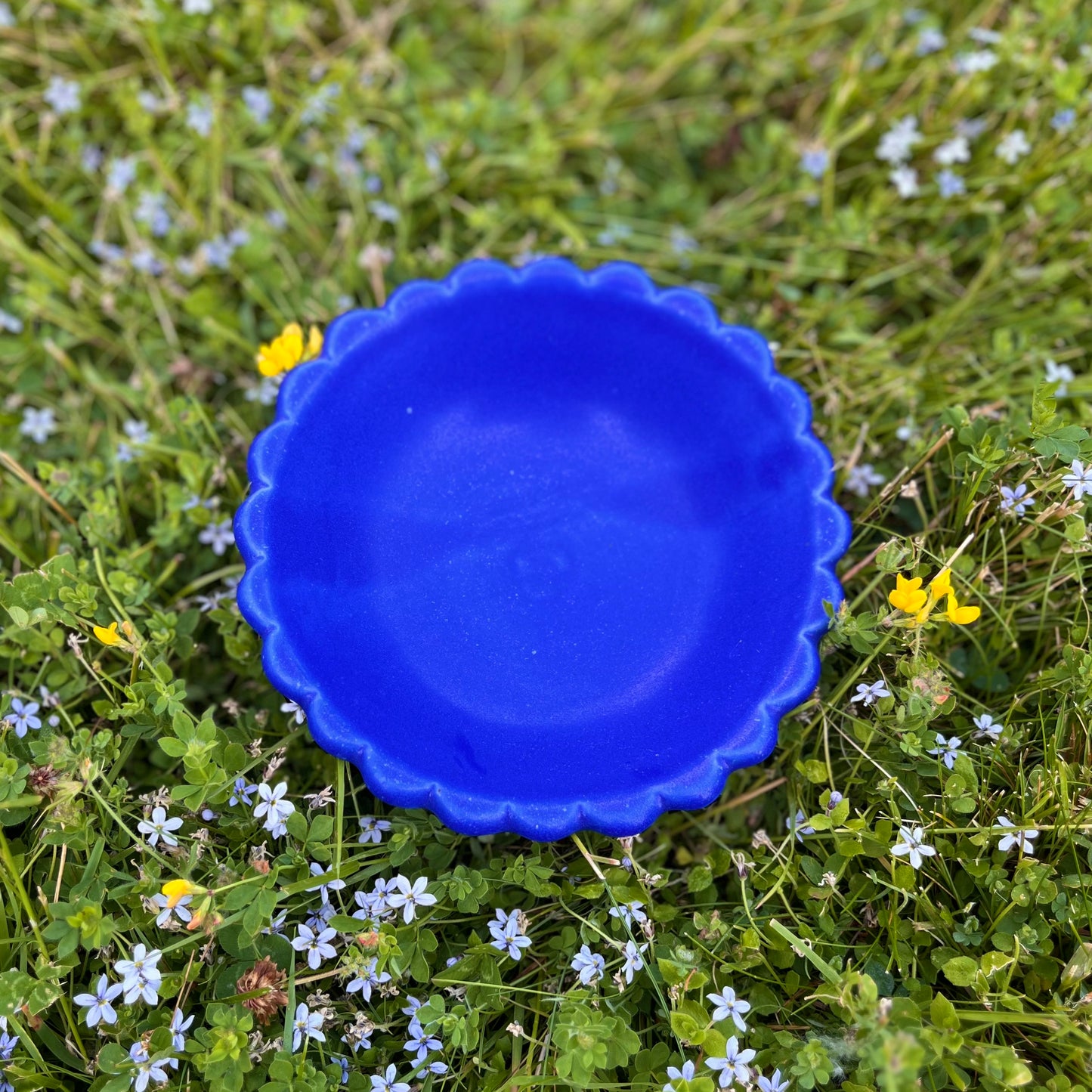 Big Snack Bowl *Pre-Order*