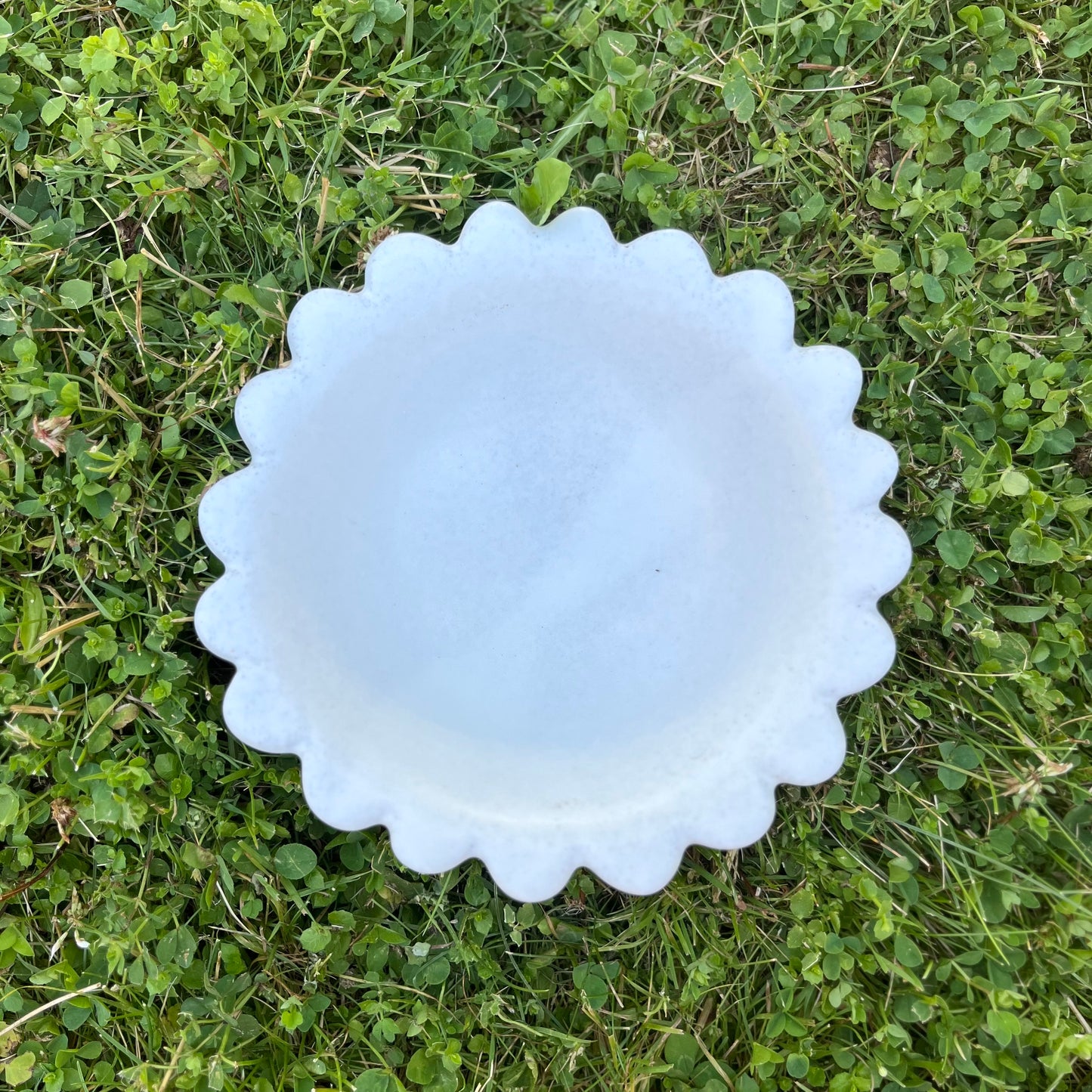 Big Snack Bowl *Pre-Order*