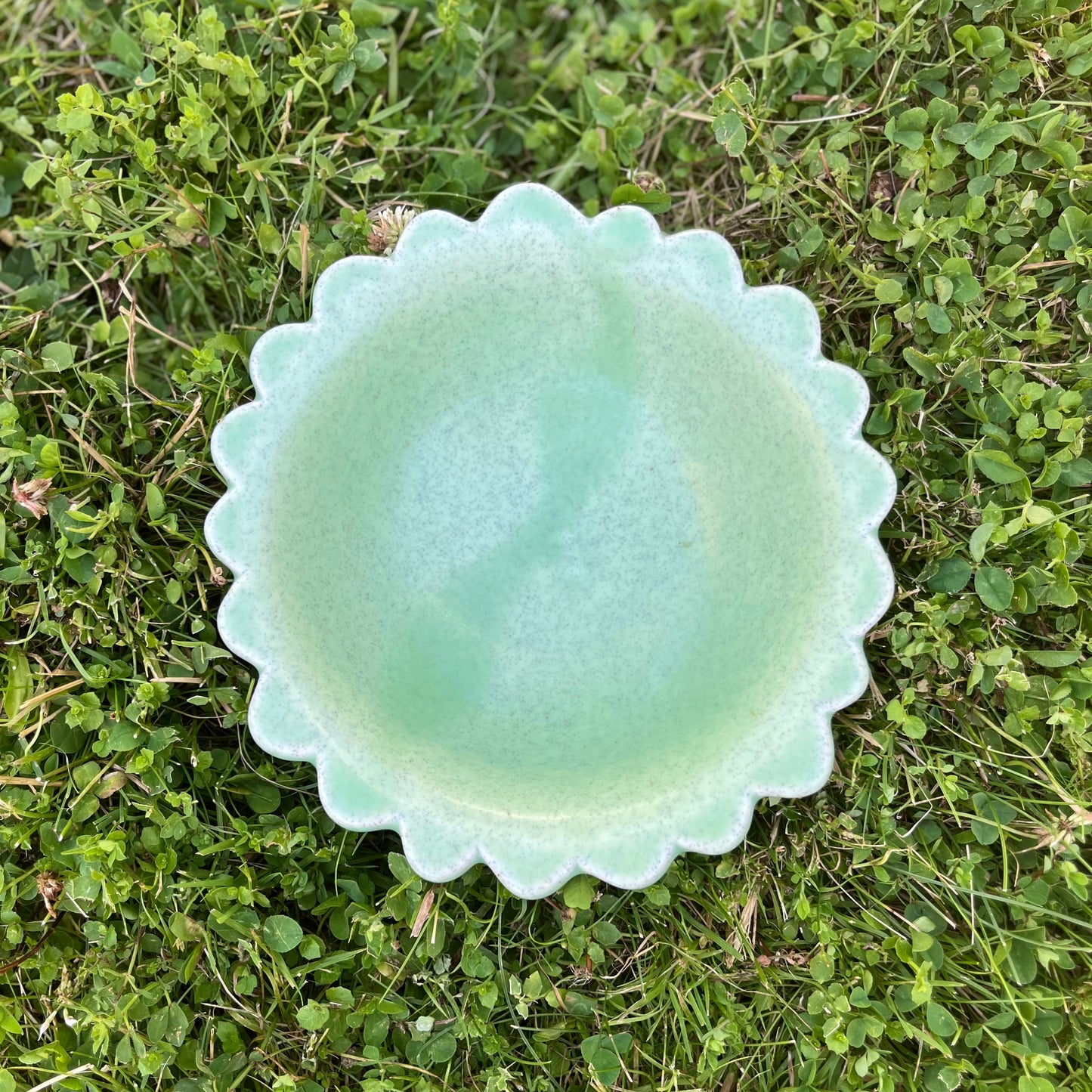 Big Snack Bowl *Pre-Order*