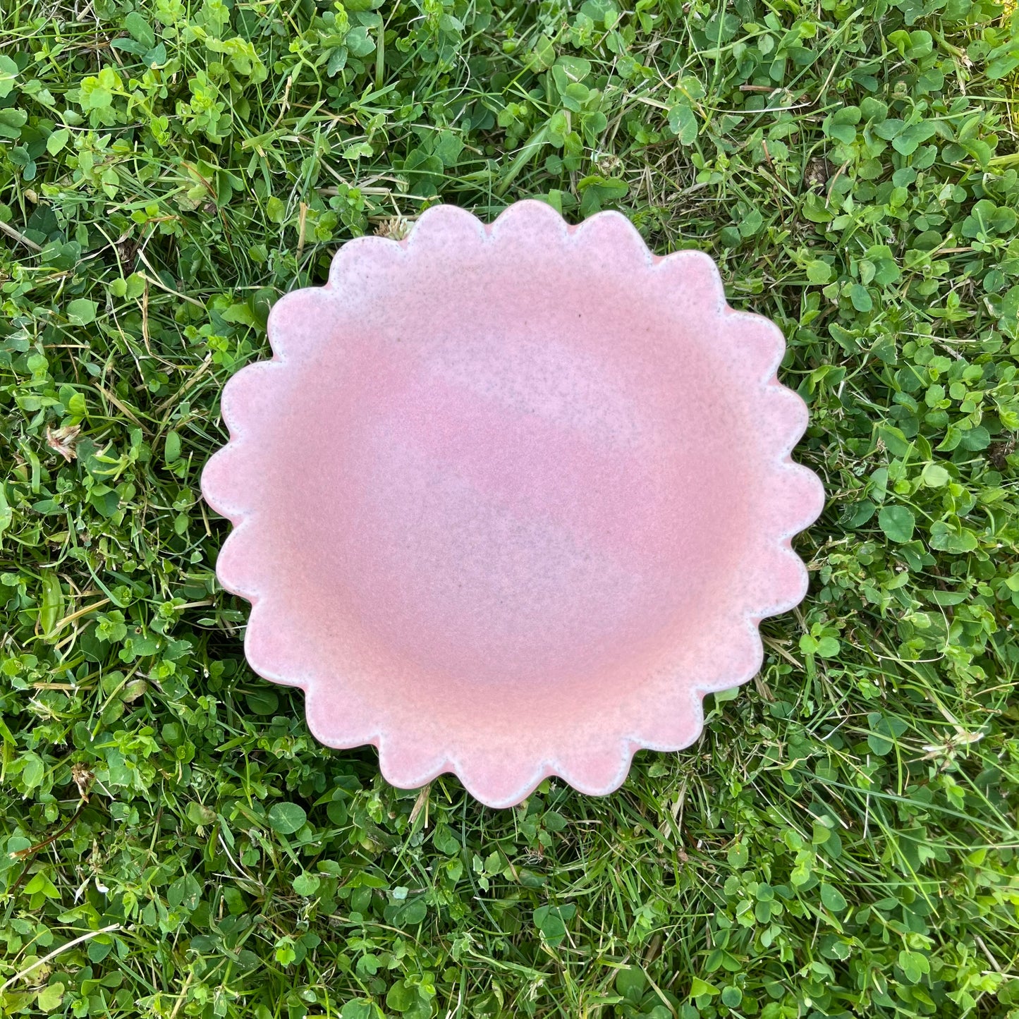 Big Snack Bowl *Pre-Order*