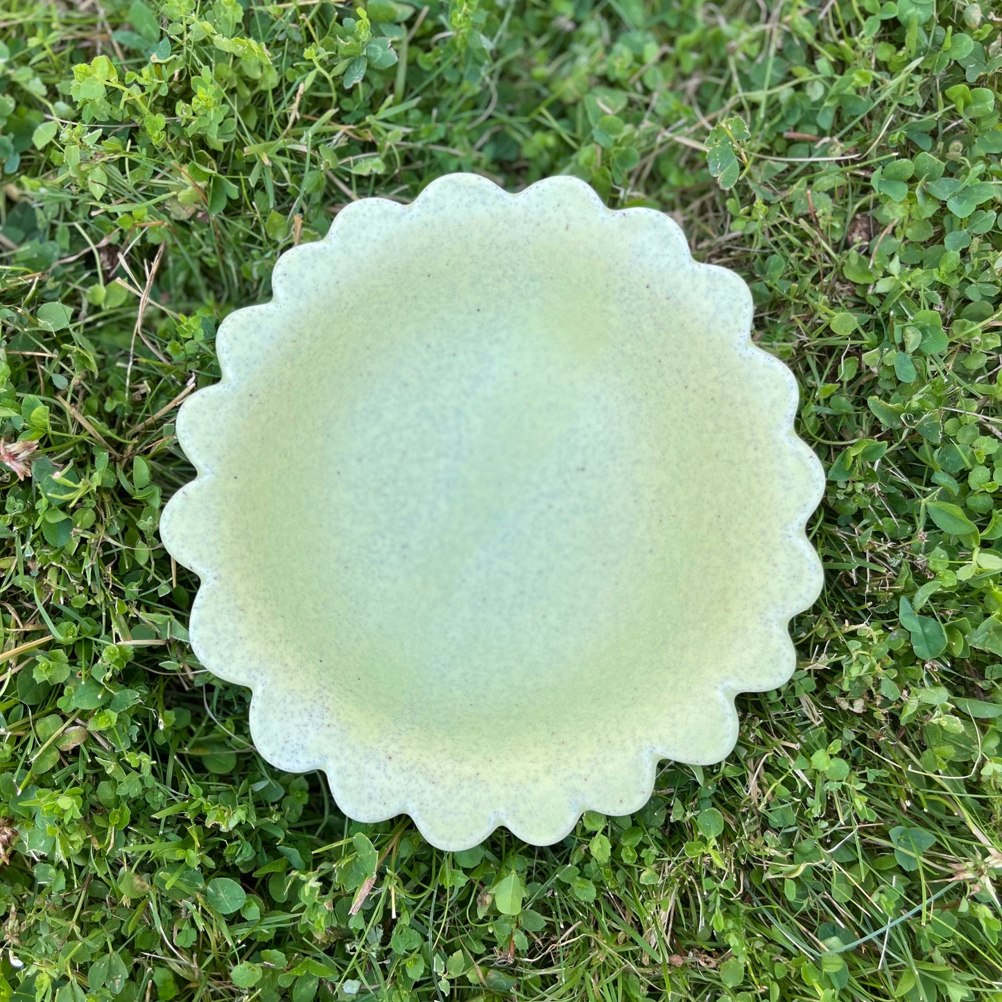 Big Snack Bowl *Pre-Order*