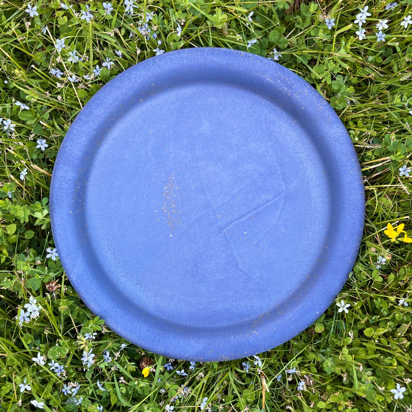 Dinner Plate *Pre-Order*