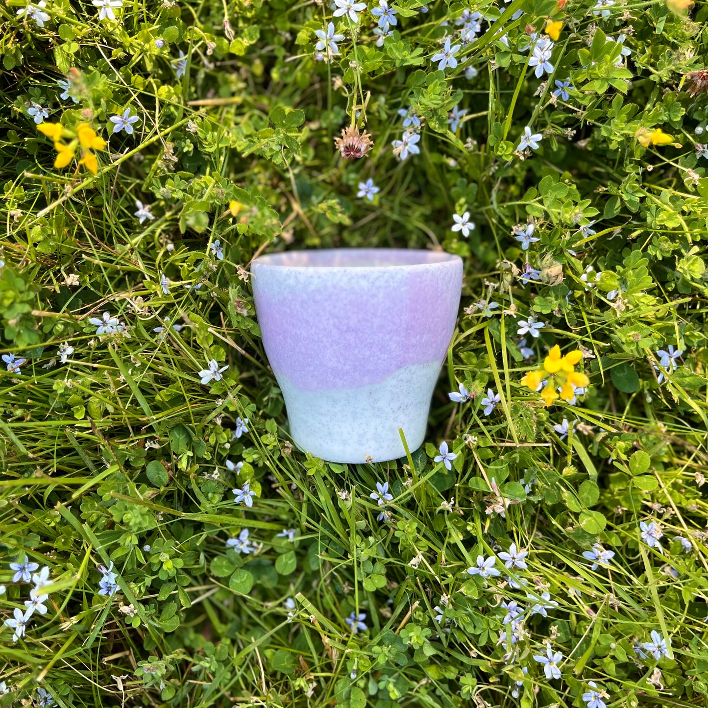 Summer Sipper