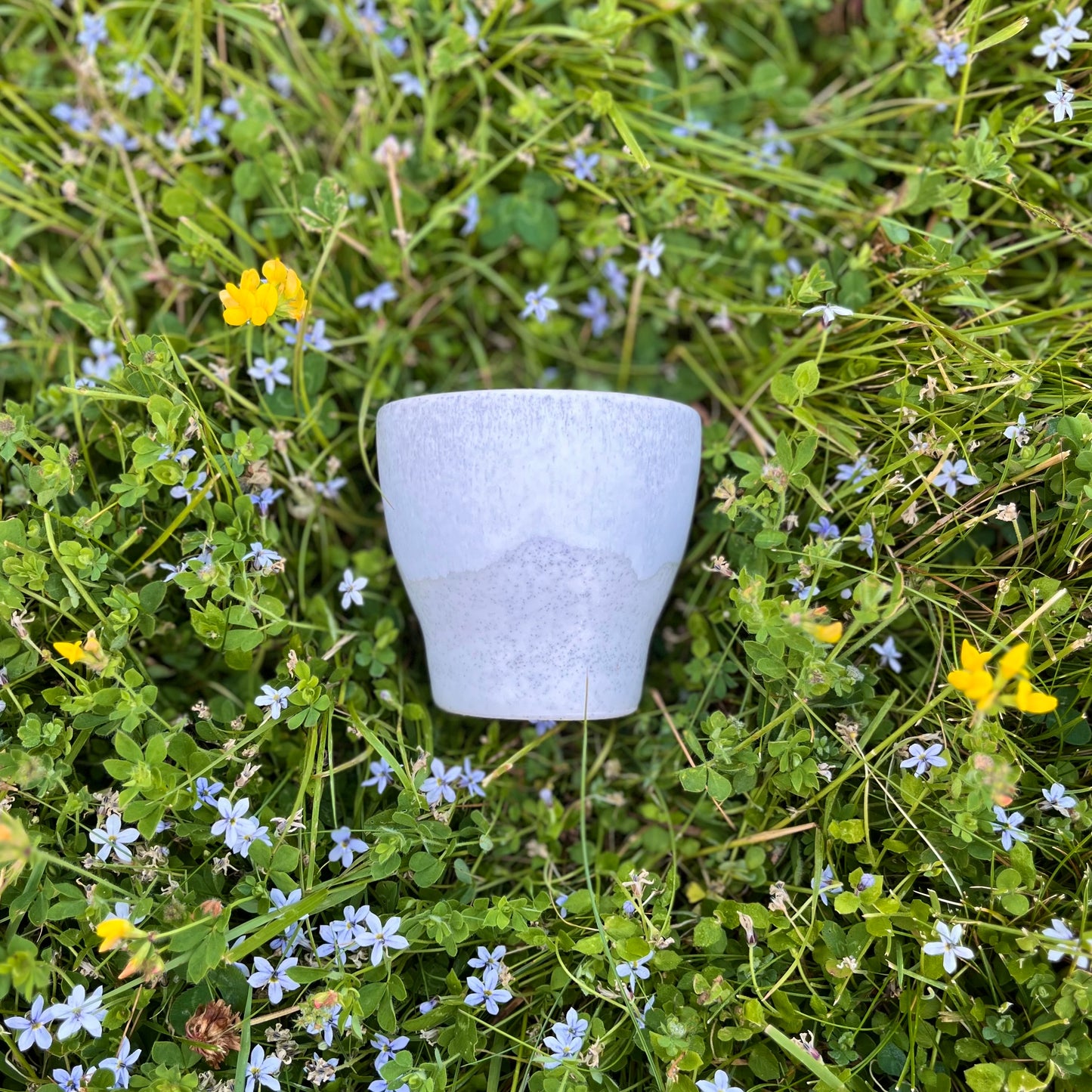 Summer Sipper