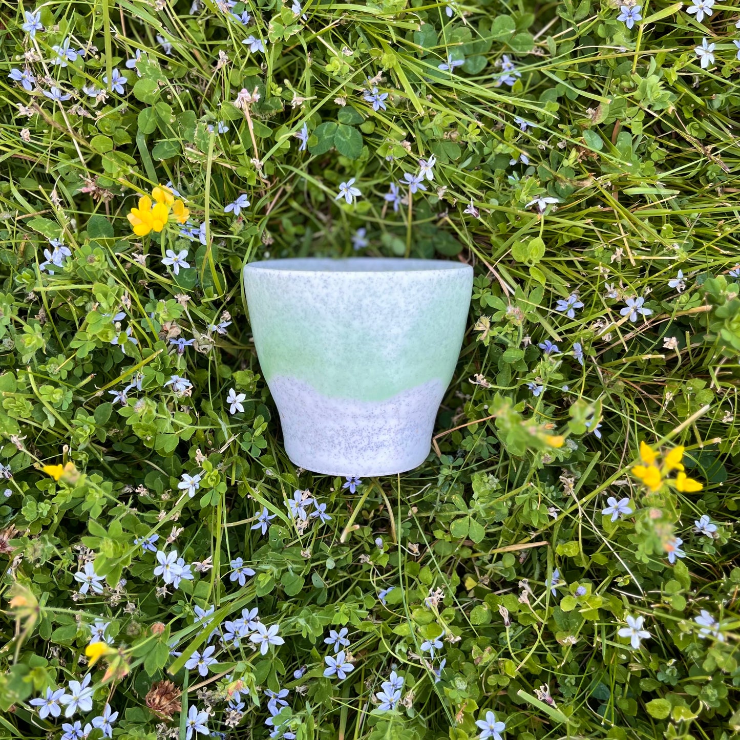 Summer Sipper