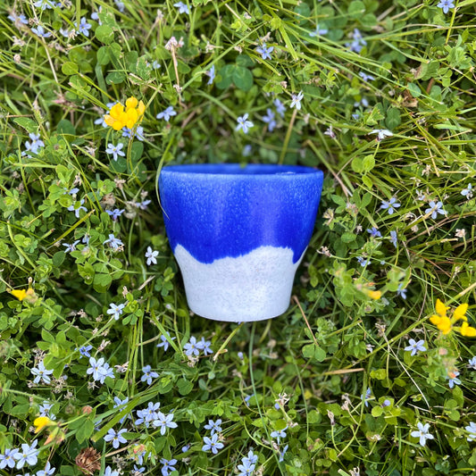 Summer Sipper