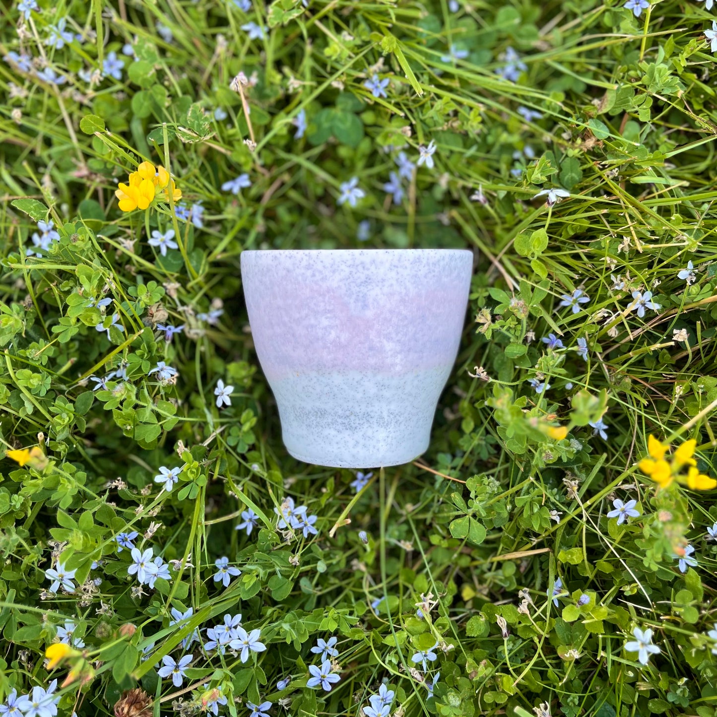 Summer Sipper