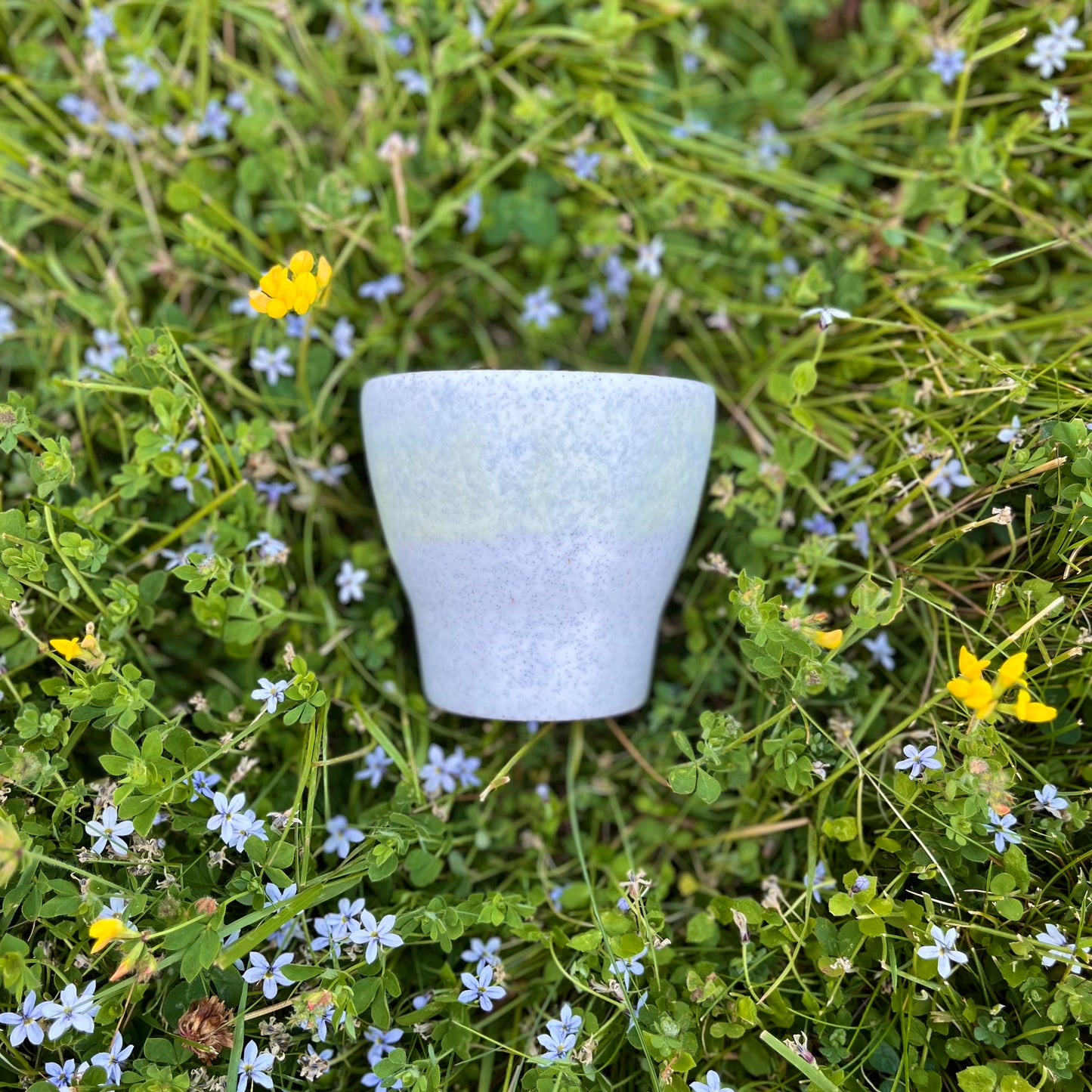 Summer Sipper